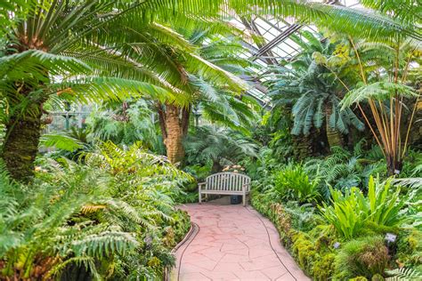 https://www.tripsavvy.com/thmb/4OTwOv7gY1EEgYIvKEcWPRrVOPE%3D/8256x5504/filters%3Ano_upscale%28%29%3Amax_bytes%28150000%29%3Astrip_icc%28%29/Lincoln_Park_Conservatory_4-5c0abeb846e0fb00011c5c32.jpg