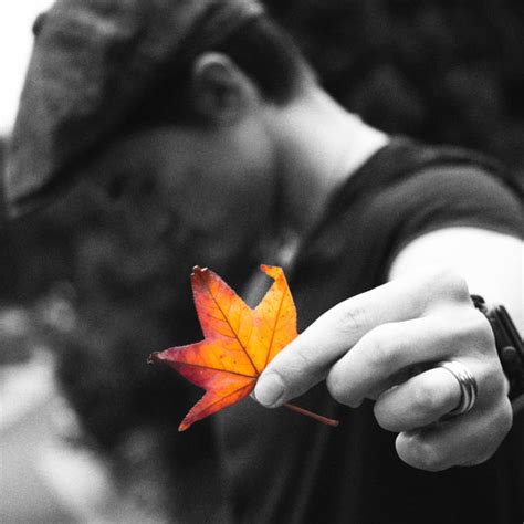 Image result for Color Isolation