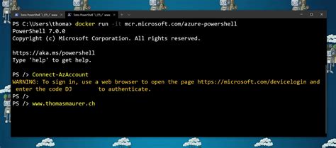 Running Docker From PowerShell 的图像结果