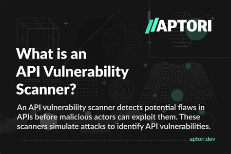 API Scanner 的图像结果