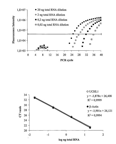 Molecular Diagnostic Method and Treatment in Dementia With Lewy Bodies - Eureka | Patsnap