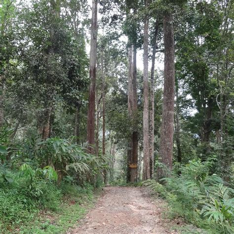 MUNNAR HIDEOUT LUXURY COTTAGES (Kerala) - Lodge Reviews & Photos ...