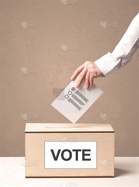 Voting Plier 的图像结果