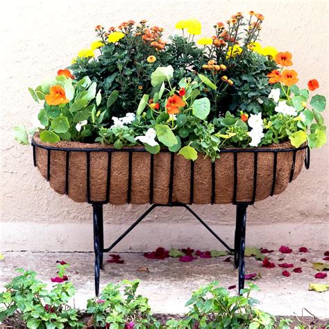 Indoor & Outdoor Cradle Planter for Plants (Coco-Liners) | EarthGarden