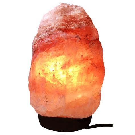 Himalayan Salt Lamp – Fortune Talks
