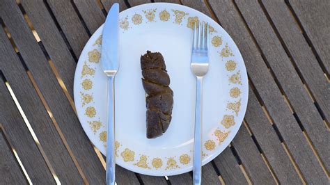 Image result for Poop Out of a Tree