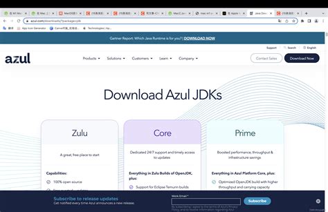 Configuring Java in Mac M1 的图像结果