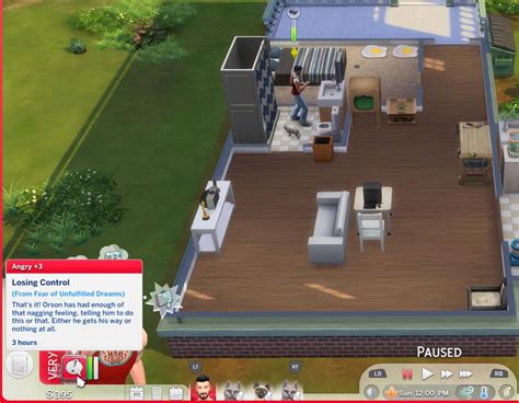 Image result for Angry Sim