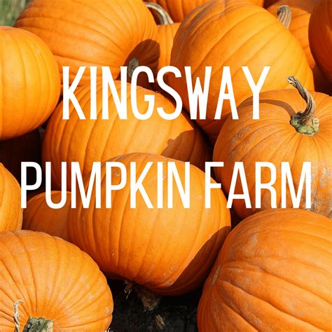 Kingsway Pumpkin Farm - Visit Ohio Today