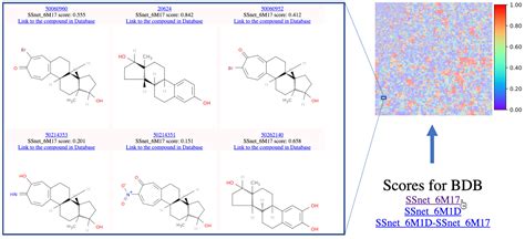 Predicting Potential SARS-COV-2 Drugs—In Depth Drug Database Screening ...