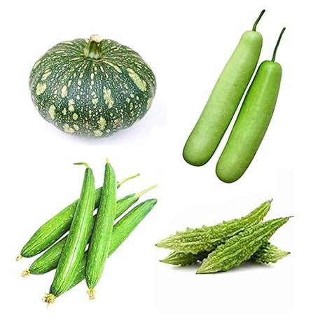 Combo Organic Seeds, Pack of 4 Vegetables, Green Pumpkin (Kaddu ...