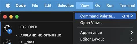 Image result for Appmap Navie Code Review