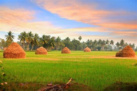 Bhu Naksha Andhra Pradesh (AP) - View Land Maps of Andhra Pradesh Online