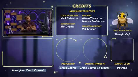 Image result for Crash Course Cell Cycle