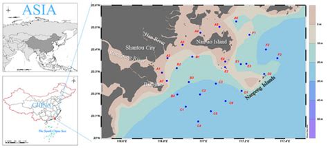 Microplastics in Marine Sediments in Eastern Guangdong in the South ...