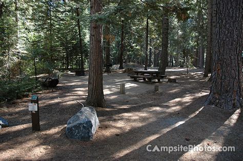 Image result for Stumpy Meadows Map