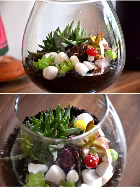 Wine Goblet Terrarium (8 Inches) — Mudfingers
