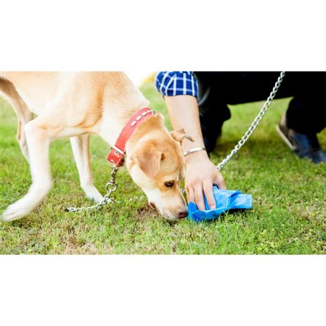 Pet Bag - Vijaya Corporation Ahmedabad