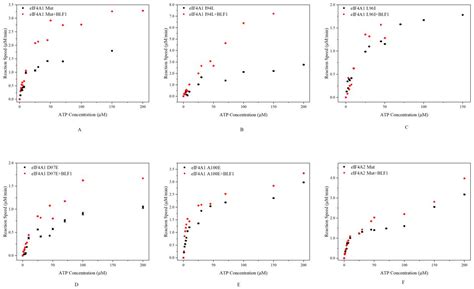 BLF1 Affects ATP Hydrolysis Catalyzed by Native and Mutated eIF4A1 and ...