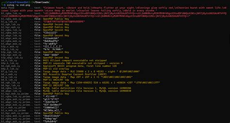 Image result for picoCTF Python Wrangling Solution