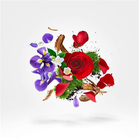 Xerjoff Elle Eau de Parfum for Women – Perfume Network India