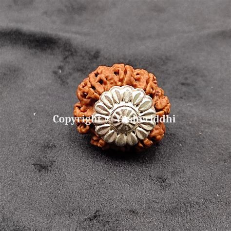 8 Mukhi Rudraksha Pendants with X-Ray and Certified | 8 Face-02 ...