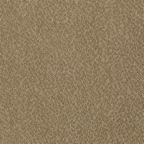 STAINMASTER PetProtect Bianca Rufus Berber/Loop Interior Carpet at ...