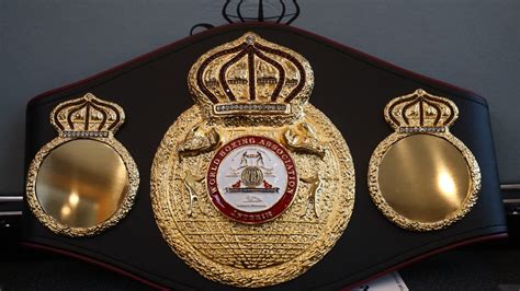 Who is the current heavyweight champion? WBA, WBO, WBC, IBF and The ...