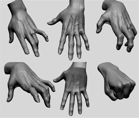 3D Hand Models - TurboSquid 1879095