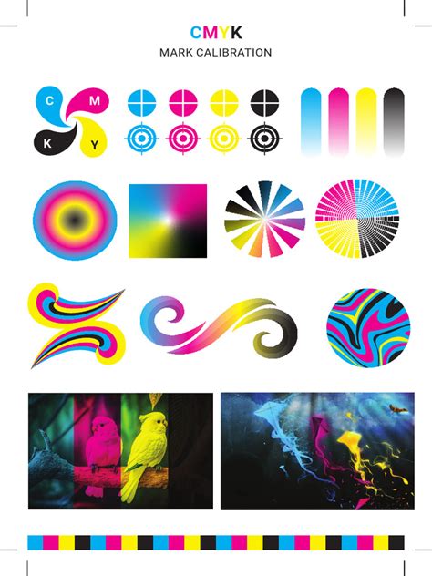 Image result for Colour Test Card