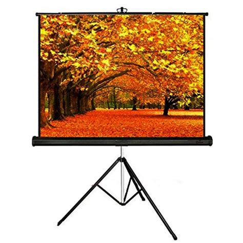 royality industries Tripod Stand Projector Screen (7 Ft.(Width) x 5 Ft ...