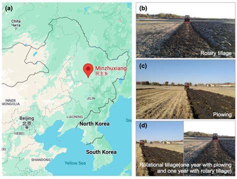 Balancing Greenhouse Gas Emissions and Yield through Rotational Tillage ...