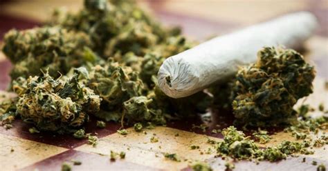 A Private Member's Bill To Legalise Marijuana To Be Tabled In ...