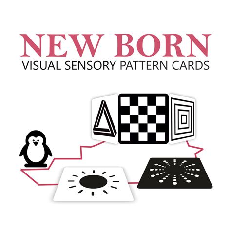 High Contrast Flash Cards