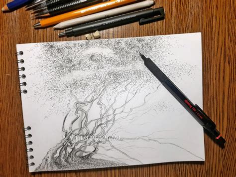 Image result for Colorful Tree Drawing