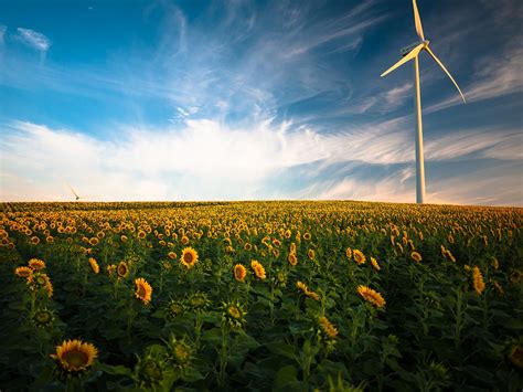 How Far Can Electricity Travel In Water? A Guide