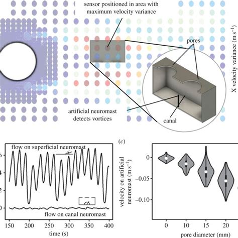 Image result for Lateral Line Sensor