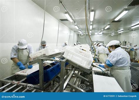 Image result for Fish factory Fish Processing Methods