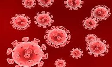 Lancet Study suggests second patient cured of HIV