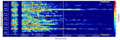 Investigation of the Reduction in Distributed Acoustic Sensing Signal ...