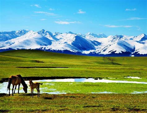 苏州新疆自驾游记（一）行程,新疆自助游攻略 - 马蜂窝