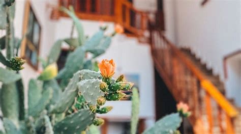 OLD YEREVAN HOTEL - Hotel Reviews, Photos, Rate Comparison - Tripadvisor