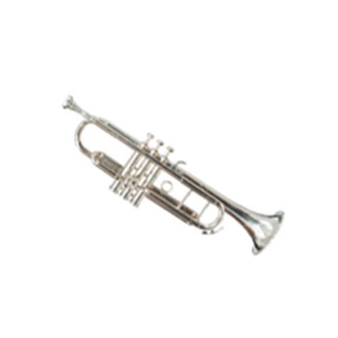 Swastik Super Band Musicals Shehnai Flute - Trumpet - Silver : Amazon ...