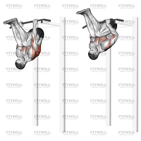 Image result for Inverted Row Workout