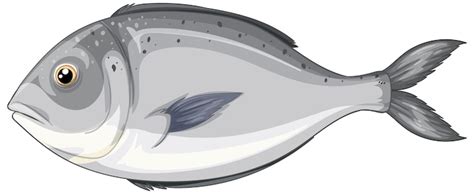 Halibut cartoon Vectors - Download Free High-Quality Vectors from ...