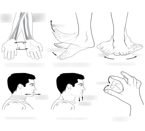 Image result for Body Movements Chart