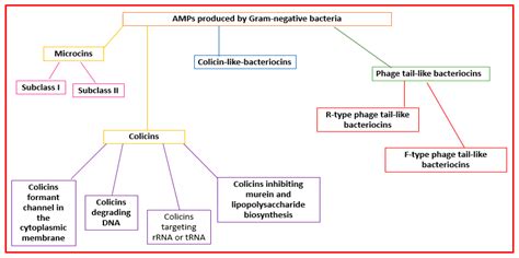 An Overview of the Potentialities of Antimicrobial Peptides Derived ...