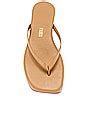 TKEES Lily Square Toe Flip Flop in Cocobutter | REVOLVE