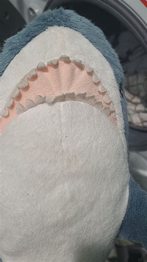 Image result for Blahaj Washing Machine