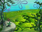 Image result for Spongebob Conch Shell